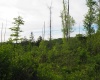 50 Wine Lane, West Union, West Virginia 26456, ,Lots/land,For Sale,Wine,10159453