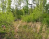 50 Wine Lane, West Union, West Virginia 26456, ,Lots/land,For Sale,Wine,10159453