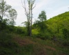 50 Wine Lane, West Union, West Virginia 26456, ,Lots/land,For Sale,Wine,10159453