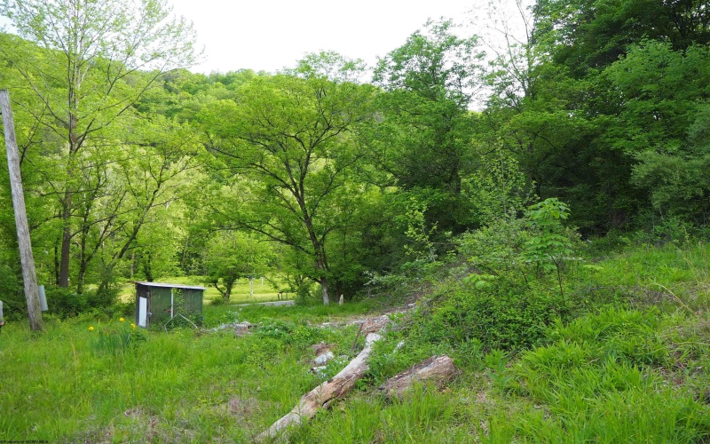 50 Wine Lane, West Union, West Virginia 26456, ,Lots/land,For Sale,Wine,10159453