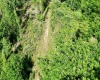 50 Wine Lane, West Union, West Virginia 26456, ,Lots/land,For Sale,Wine,10159453