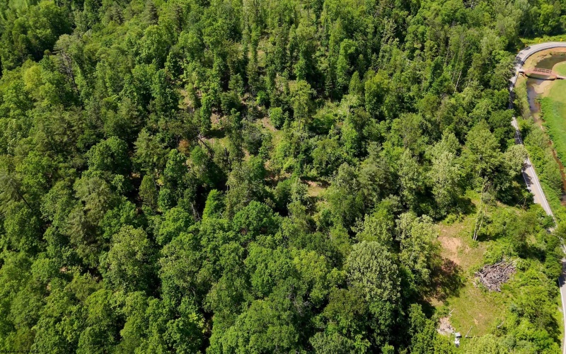 50 Wine Lane, West Union, West Virginia 26456, ,Lots/land,For Sale,Wine,10159453