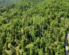 50 Wine Lane, West Union, West Virginia 26456, ,Lots/land,For Sale,Wine,10159453