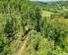 50 Wine Lane, West Union, West Virginia 26456, ,Lots/land,For Sale,Wine,10159453