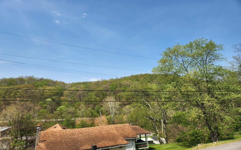 784 Ona Street, Grafton, West Virginia 26354-1723, 3 Bedrooms Bedrooms, 5 Rooms Rooms,1 BathroomBathrooms,Single Family Detached,For Sale,Ona,10159478