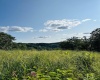 TBD Grass Run Road, Salem, West Virginia 26426, ,Lots/land,For Sale,Grass Run,10159481