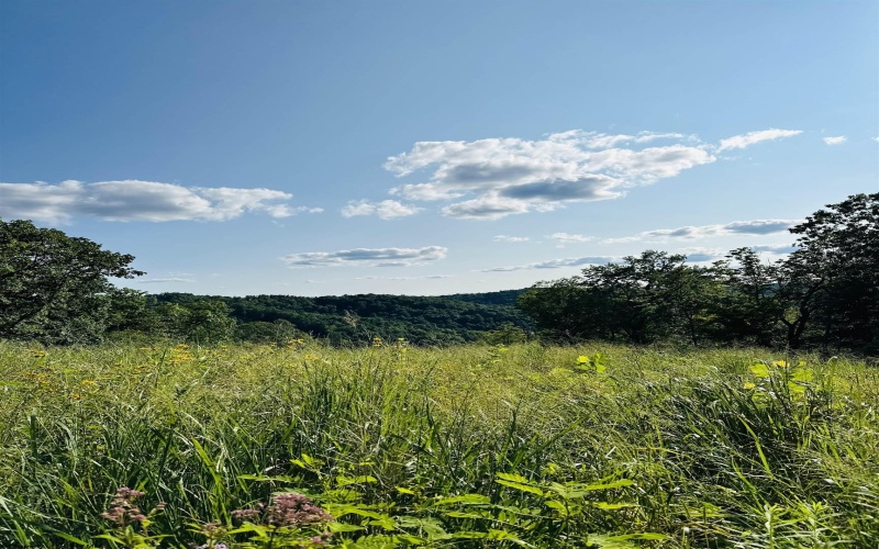 TBD Grass Run Road, Salem, West Virginia 26426, ,Lots/land,For Sale,Grass Run,10159481