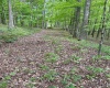 TBD Grass Run Road, Salem, West Virginia 26426, ,Lots/land,For Sale,Grass Run,10159481