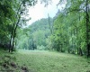 TBD Grass Run Road, Salem, West Virginia 26426, ,Lots/land,For Sale,Grass Run,10159481