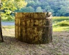 TBD Grass Run Road, Salem, West Virginia 26426, ,Lots/land,For Sale,Grass Run,10159481