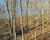 TBD Grass Run Road, Salem, West Virginia 26426, ,Lots/land,For Sale,Grass Run,10159481