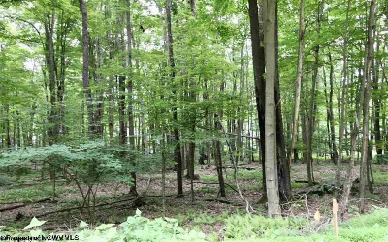 Lots 153-154 Clover Drive, Terra Alta, West Virginia 26764, ,Lots/land,For Sale,Clover,10159473