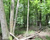 Lots 153-154 Clover Drive, Terra Alta, West Virginia 26764, ,Lots/land,For Sale,Clover,10159473