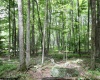 Lots 153-154 Clover Drive, Terra Alta, West Virginia 26764, ,Lots/land,For Sale,Clover,10159473