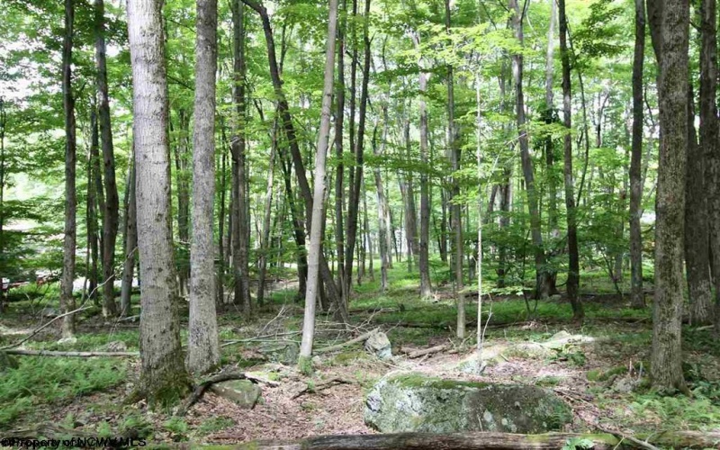 Lots 153-154 Clover Drive, Terra Alta, West Virginia 26764, ,Lots/land,For Sale,Clover,10159473