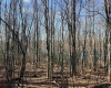 Lots 153-154 Clover Drive, Terra Alta, West Virginia 26764, ,Lots/land,For Sale,Clover,10159473