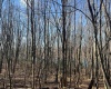 Lots 153-154 Clover Drive, Terra Alta, West Virginia 26764, ,Lots/land,For Sale,Clover,10159473