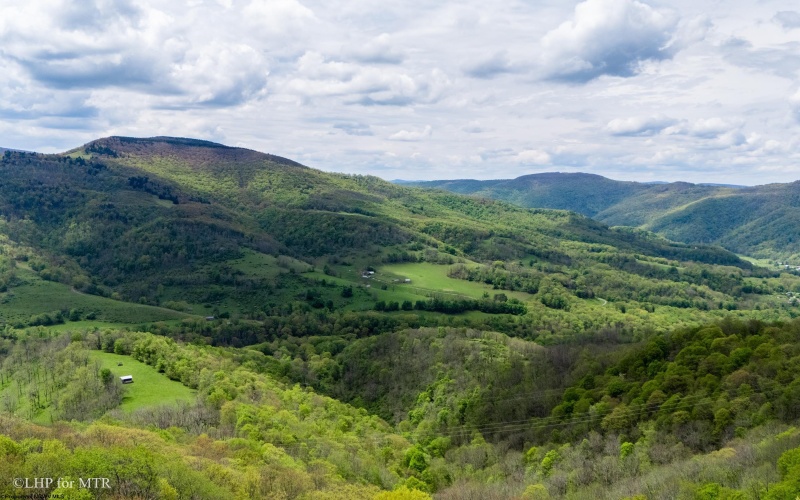 28 Meadows Road West, Harman, West Virginia 26270, ,Lots/land,For Sale,Meadows Road,10159480