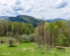 28 Meadows Road West, Harman, West Virginia 26270, ,Lots/land,For Sale,Meadows Road,10159480