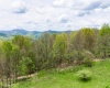 28 Meadows Road West, Harman, West Virginia 26270, ,Lots/land,For Sale,Meadows Road,10159480