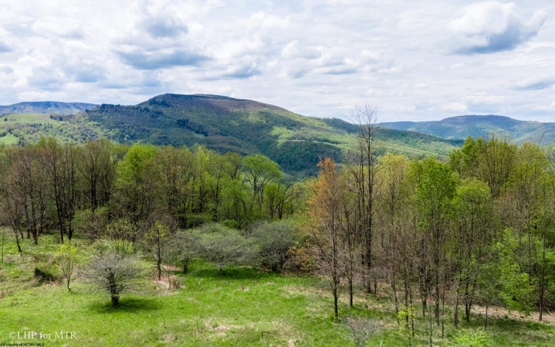 28 Meadows Road West, Harman, West Virginia 26270, ,Lots/land,For Sale,Meadows Road,10159480