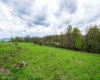 28 Meadows Road West, Harman, West Virginia 26270, ,Lots/land,For Sale,Meadows Road,10159480