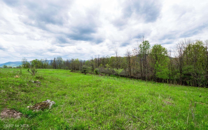 28 Meadows Road West, Harman, West Virginia 26270, ,Lots/land,For Sale,Meadows Road,10159480