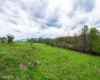 28 Meadows Road West, Harman, West Virginia 26270, ,Lots/land,For Sale,Meadows Road,10159480