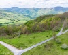 28 Meadows Road West, Harman, West Virginia 26270, ,Lots/land,For Sale,Meadows Road,10159480
