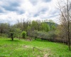 28 Meadows Road West, Harman, West Virginia 26270, ,Lots/land,For Sale,Meadows Road,10159480