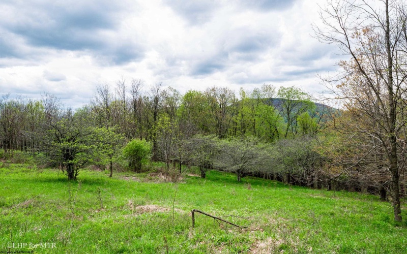 28 Meadows Road West, Harman, West Virginia 26270, ,Lots/land,For Sale,Meadows Road,10159480