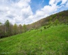 28 Meadows Road West, Harman, West Virginia 26270, ,Lots/land,For Sale,Meadows Road,10159480