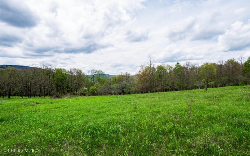 28 Meadows Road West, Harman, West Virginia 26270, ,Lots/land,For Sale,Meadows Road,10159480