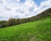 28 Meadows Road West, Harman, West Virginia 26270, ,Lots/land,For Sale,Meadows Road,10159480