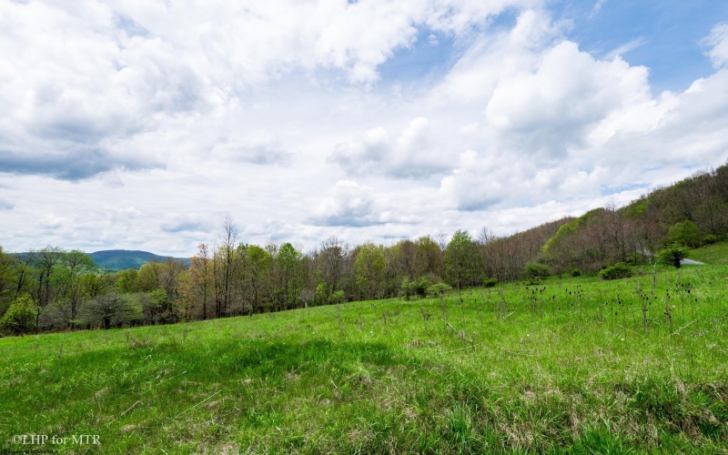 28 Meadows Road West, Harman, West Virginia 26270, ,Lots/land,For Sale,Meadows Road,10159480