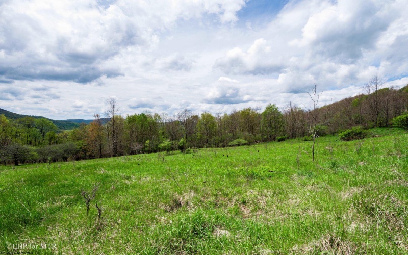 28 Meadows Road West, Harman, West Virginia 26270, ,Lots/land,For Sale,Meadows Road,10159480