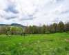 28 Meadows Road West, Harman, West Virginia 26270, ,Lots/land,For Sale,Meadows Road,10159480