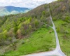28 Meadows Road West, Harman, West Virginia 26270, ,Lots/land,For Sale,Meadows Road,10159480