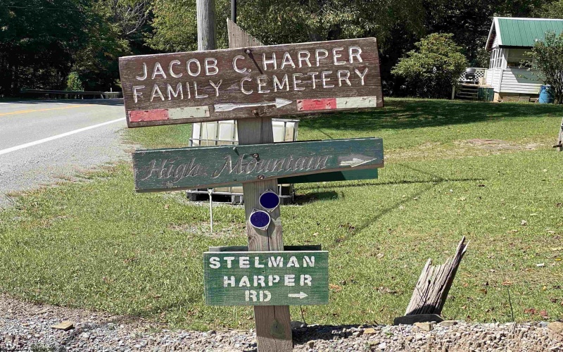 28 Meadows Road West, Harman, West Virginia 26270, ,Lots/land,For Sale,Meadows Road,10159480