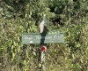 28 Meadows Road West, Harman, West Virginia 26270, ,Lots/land,For Sale,Meadows Road,10159480