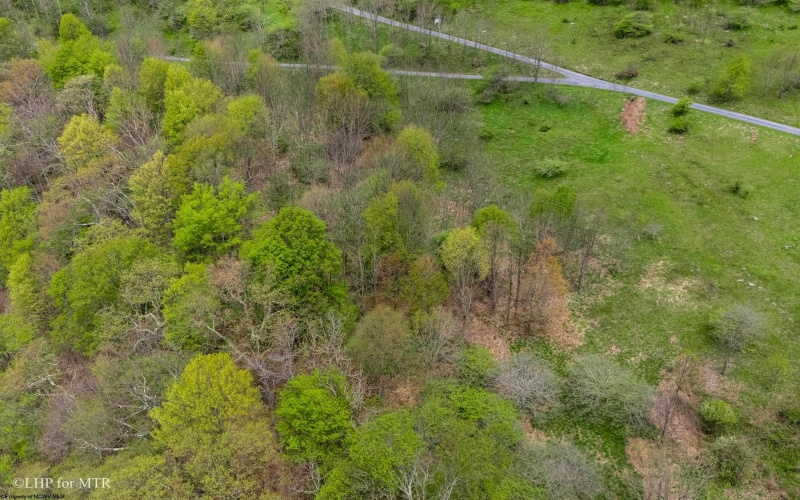 28 Meadows Road West, Harman, West Virginia 26270, ,Lots/land,For Sale,Meadows Road,10159480