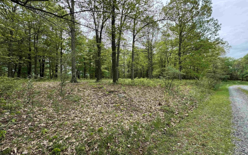 Lot 29 Oak Drive, Albright, West Virginia 26519, ,Lots/land,For Sale,Oak,10159464
