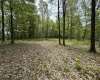 Lot 29 Oak Drive, Albright, West Virginia 26519, ,Lots/land,For Sale,Oak,10159464
