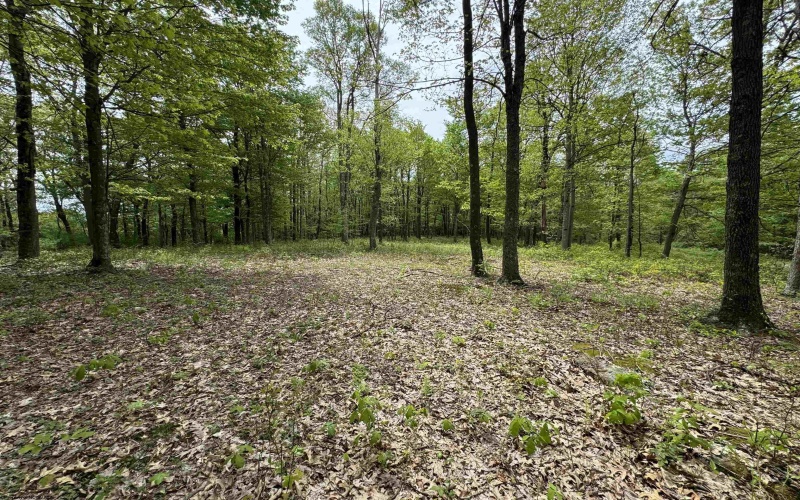 Lot 29 Oak Drive, Albright, West Virginia 26519, ,Lots/land,For Sale,Oak,10159464