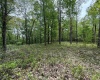 Lot 29 Oak Drive, Albright, West Virginia 26519, ,Lots/land,For Sale,Oak,10159464