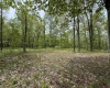 Lot 29 Oak Drive, Albright, West Virginia 26519, ,Lots/land,For Sale,Oak,10159464
