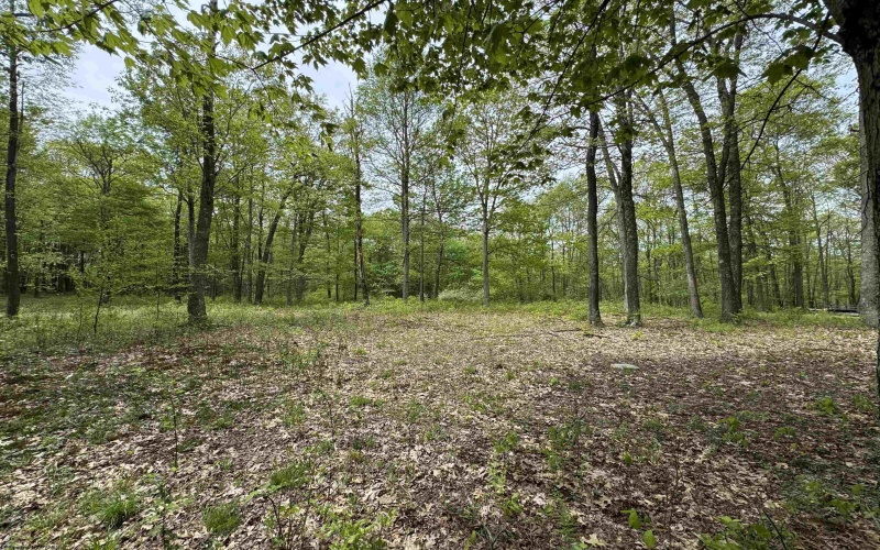 Lot 29 Oak Drive, Albright, West Virginia 26519, ,Lots/land,For Sale,Oak,10159464