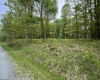 Lot 29 Oak Drive, Albright, West Virginia 26519, ,Lots/land,For Sale,Oak,10159464