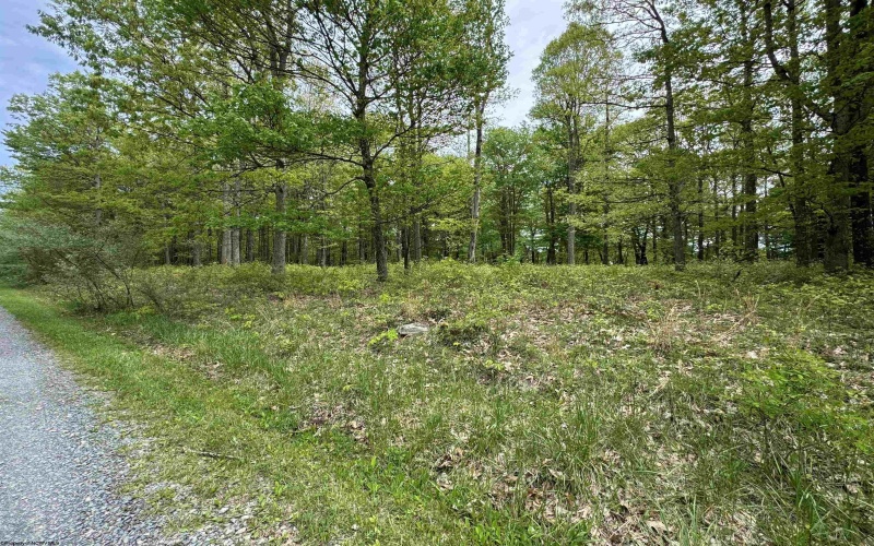 Lot 29 Oak Drive, Albright, West Virginia 26519, ,Lots/land,For Sale,Oak,10159464