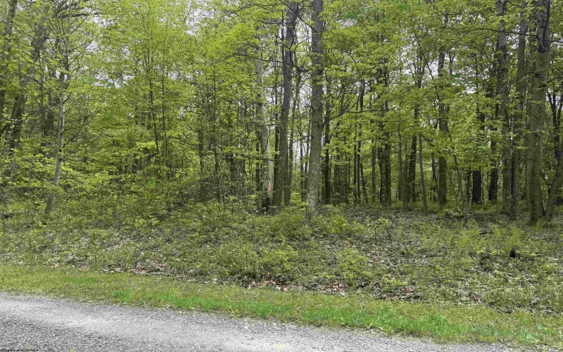 Lot 30 Oak Drive, Albright, West Virginia 26519, ,Lots/land,For Sale,Oak,10159465